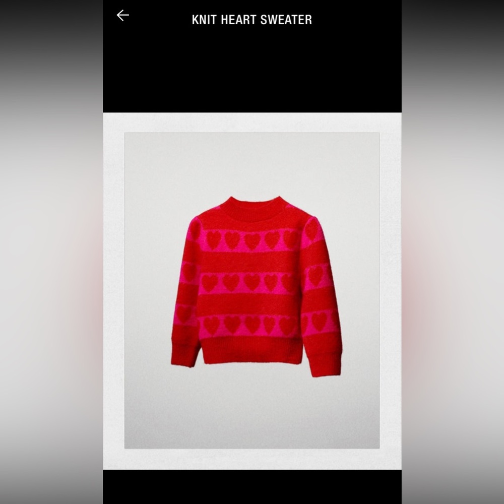 Zara knit heart sweater.